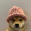 dogwifhat (WIF) cryptocurrency logo
